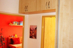 predsin (20)