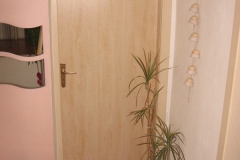 predsin (28)