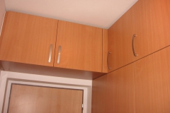predsin (30)