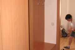 predsin (31)